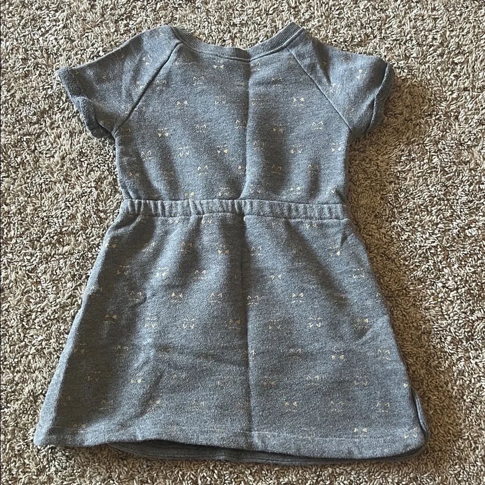 Gymboree Little Girl Gray Sweatshirt Dress Size 4t